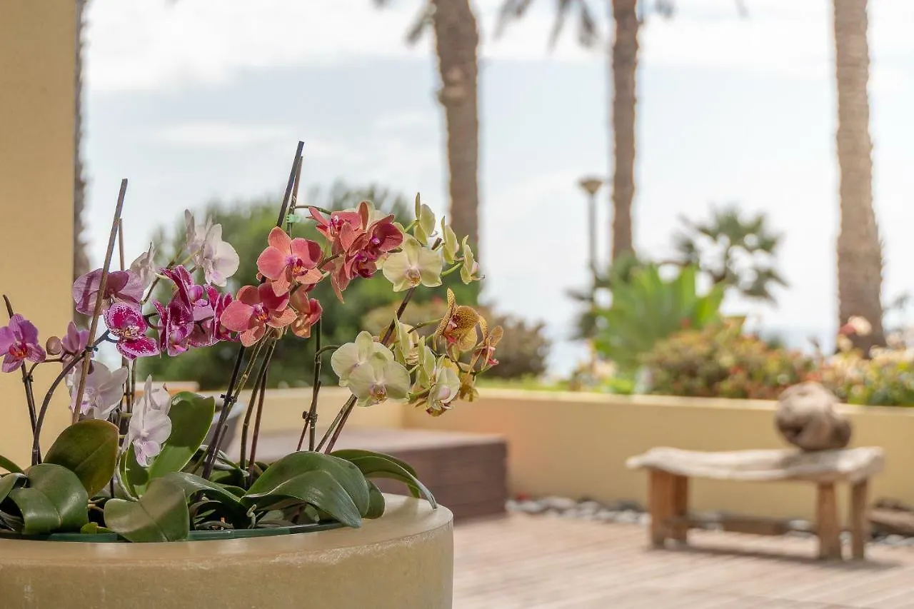 Atlantic Garden Sunset Apartment Funchal